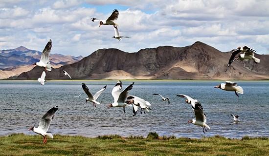 Lago Bangong