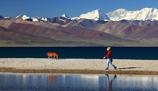 Catene Montuose e Picchi del Tibet