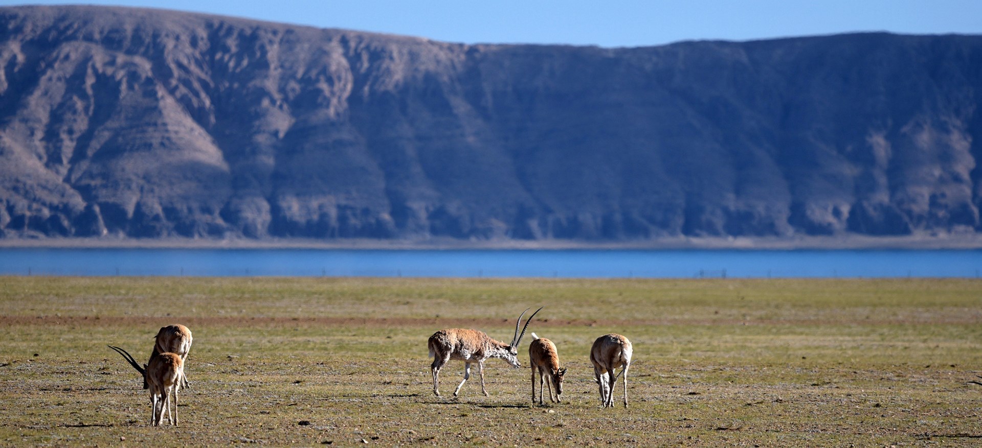 Viaggio Avventura Attraverso il Nord del Qiangtang Fino a Kailash