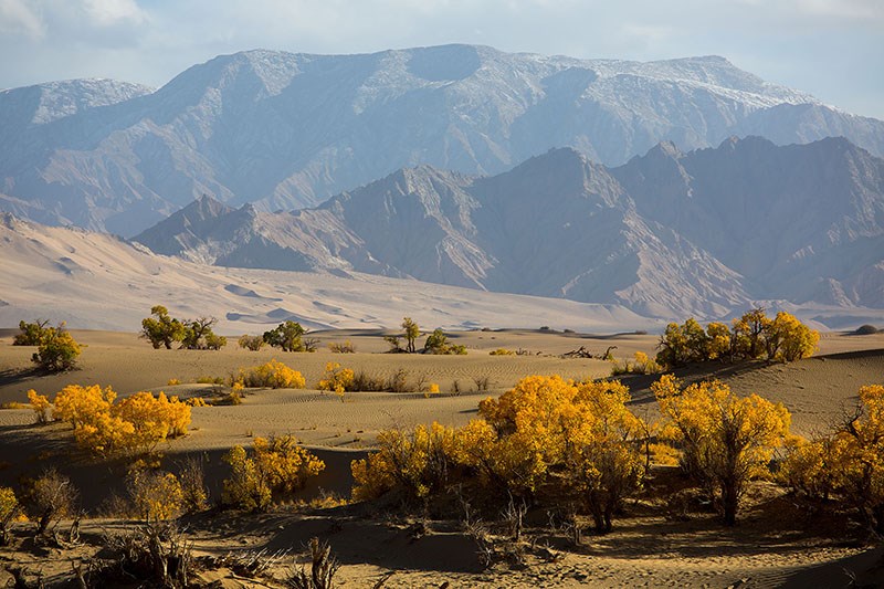 Landscape in Xinjiang