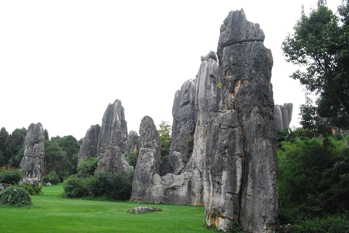 Stone Forest 