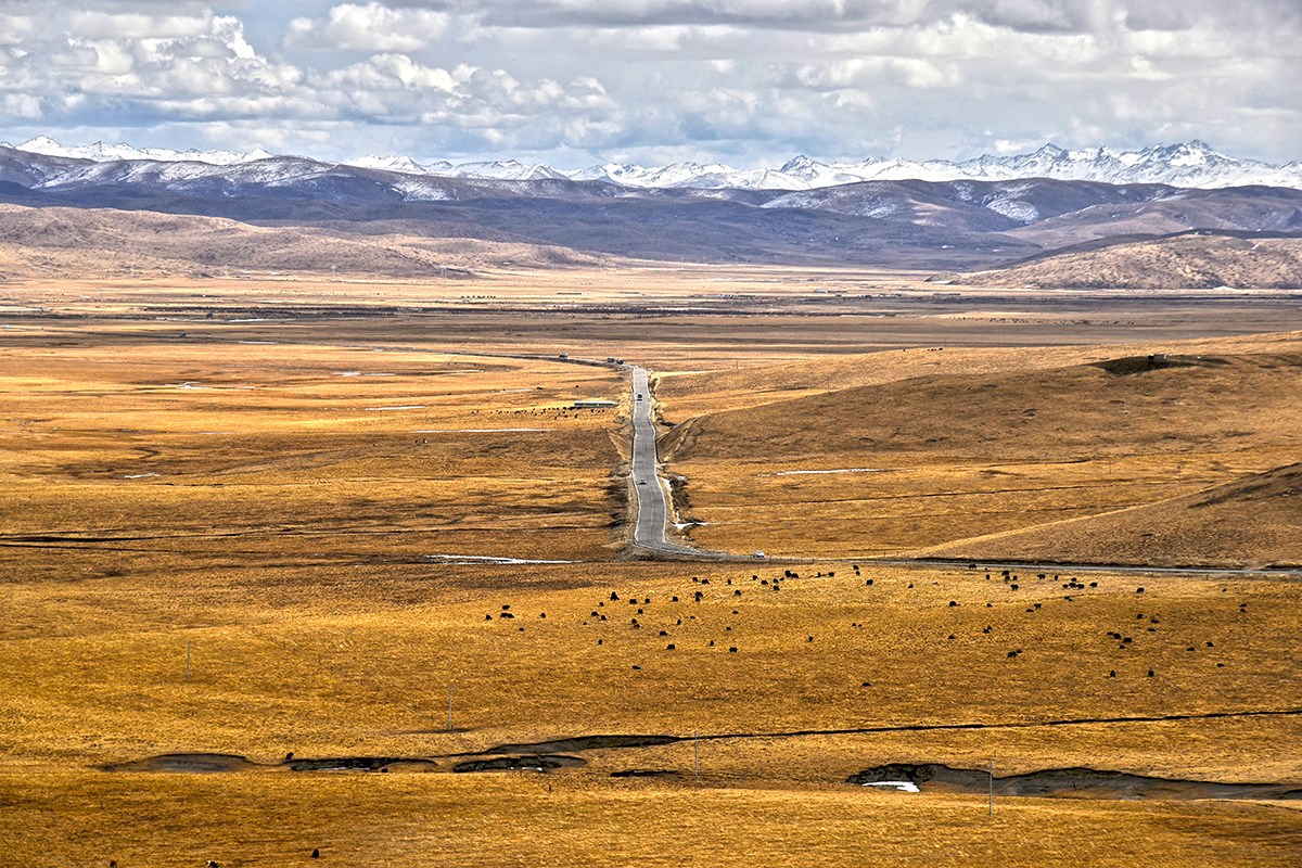 Ruoergai Steppe in Winter | Foto da Liu Bin