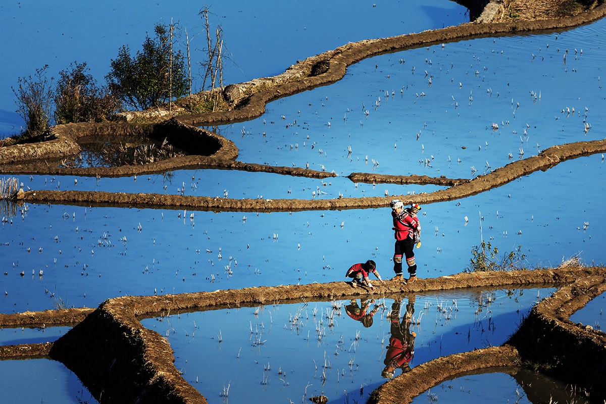 nyang Terrace | Foto da Min Zhao