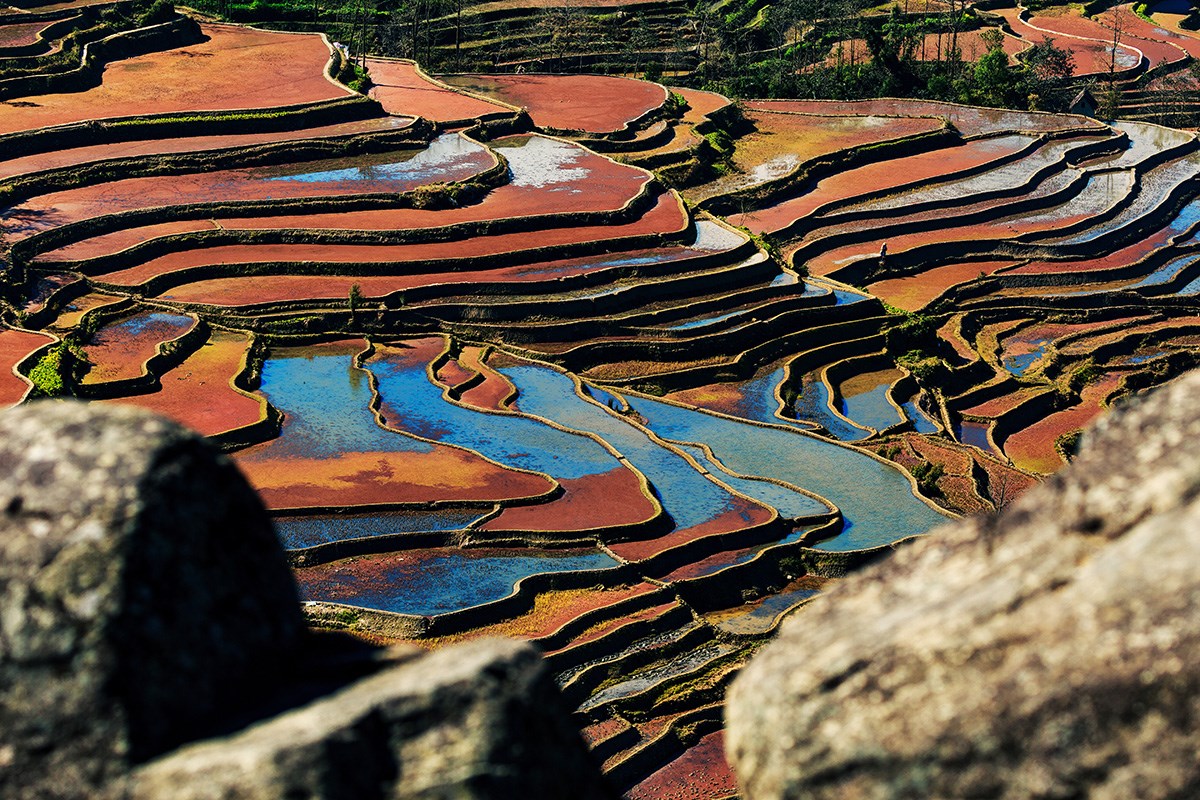 nyang Terrace | Foto da Min Zhao