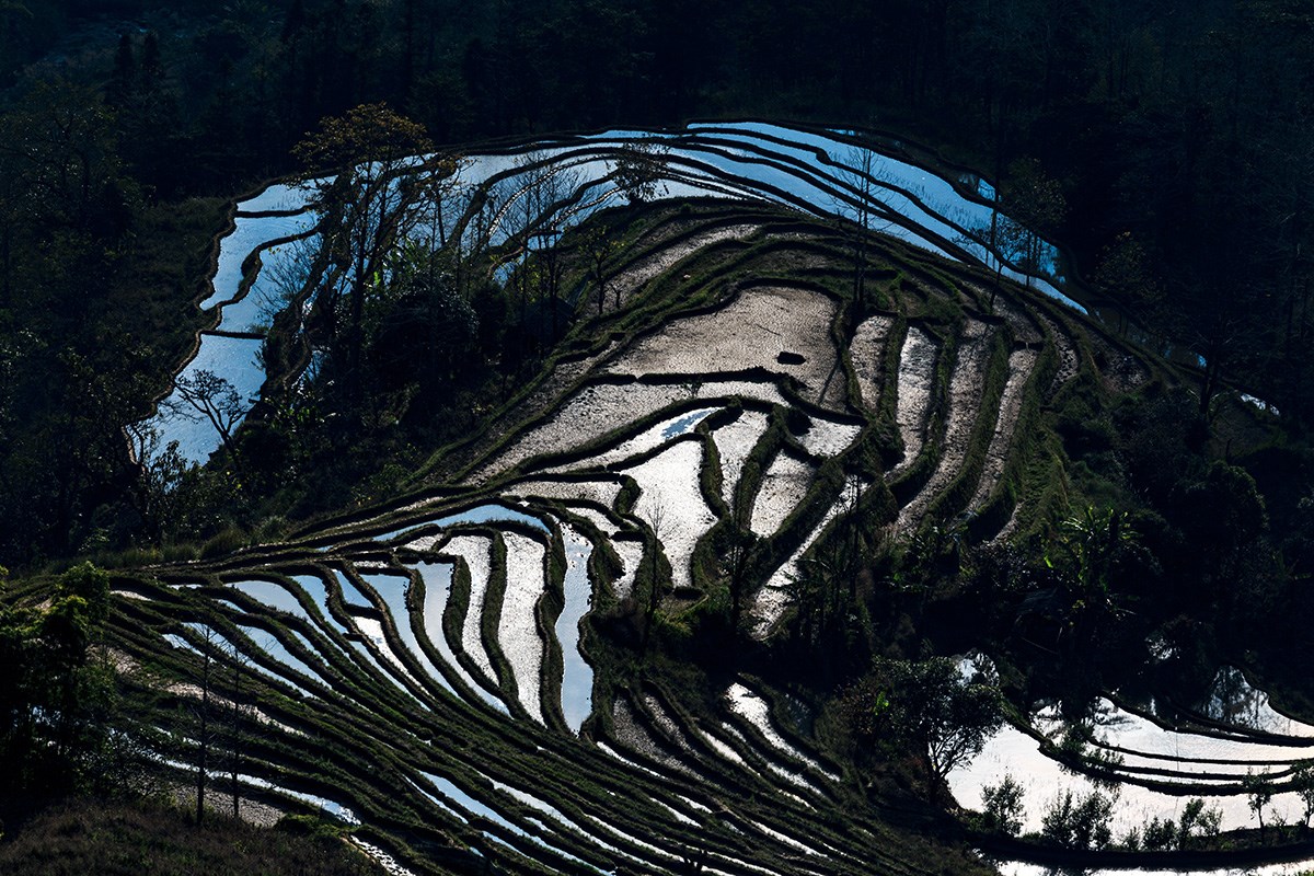 nyang Terrace | Foto da Min Zhao