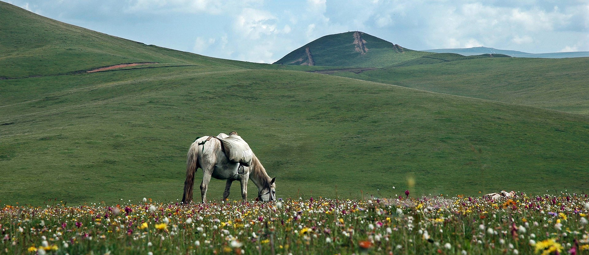 Viaggio a Cavallo nelle Aree Tibetane Kham-Amdo