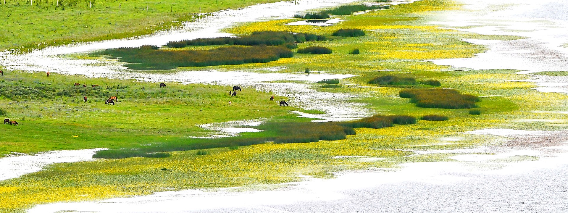 Viaggio di Lusso in Tibet