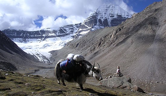 Escursionismo del Tibet Intorno a Kailash con Everest e Tsada