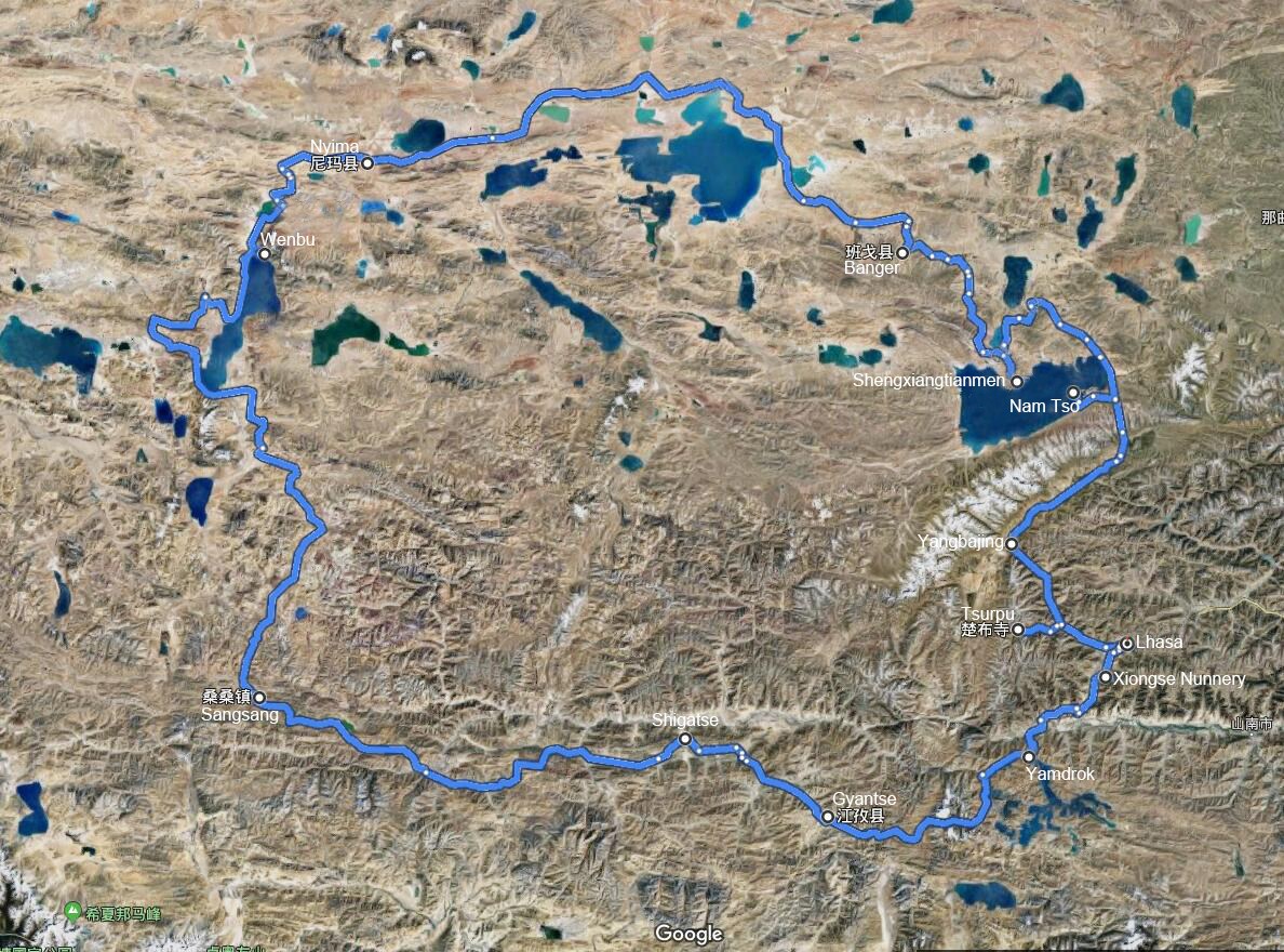 Viaggio del Birdwatching e Fauna Selvatica nel Nord del Tibet Qiangtang