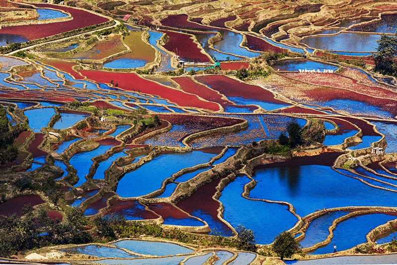 Yuanyang Terraces