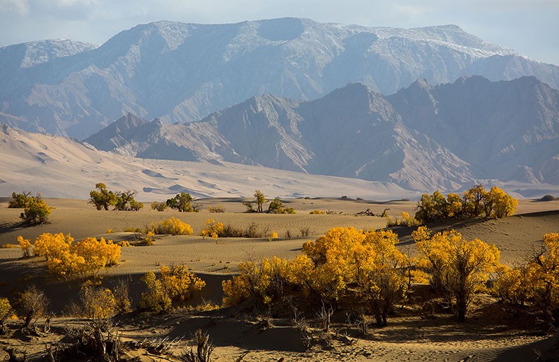 South Xinjiang