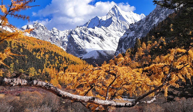 Xialuoduoji Mountain in Yading