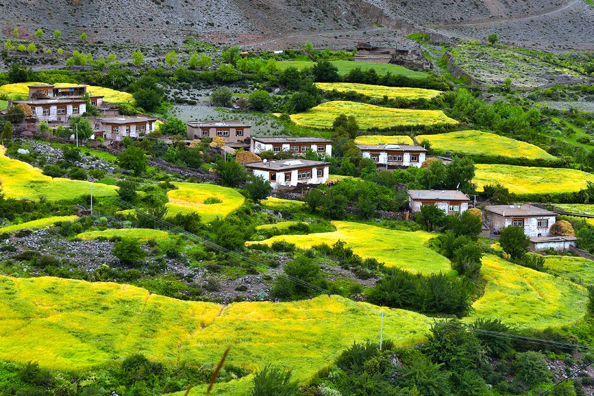 Landscape of Baxoi | Foto da Liu Bin