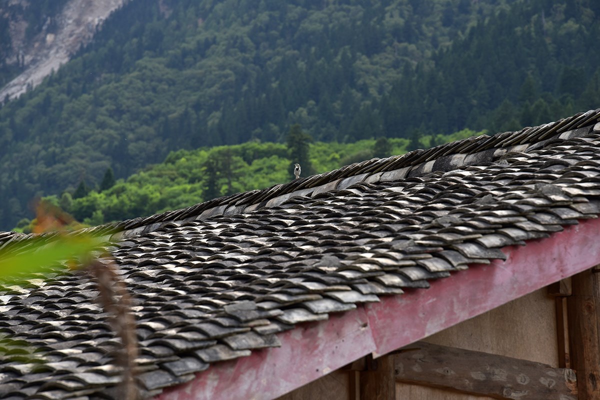 Tibetan Haus | Foto da Liu Bin