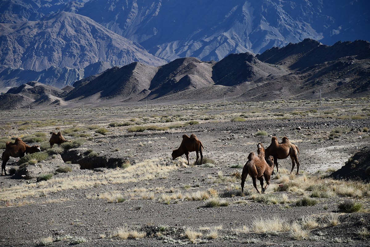 Landscape of Tianshan | Foto da Liu Bin