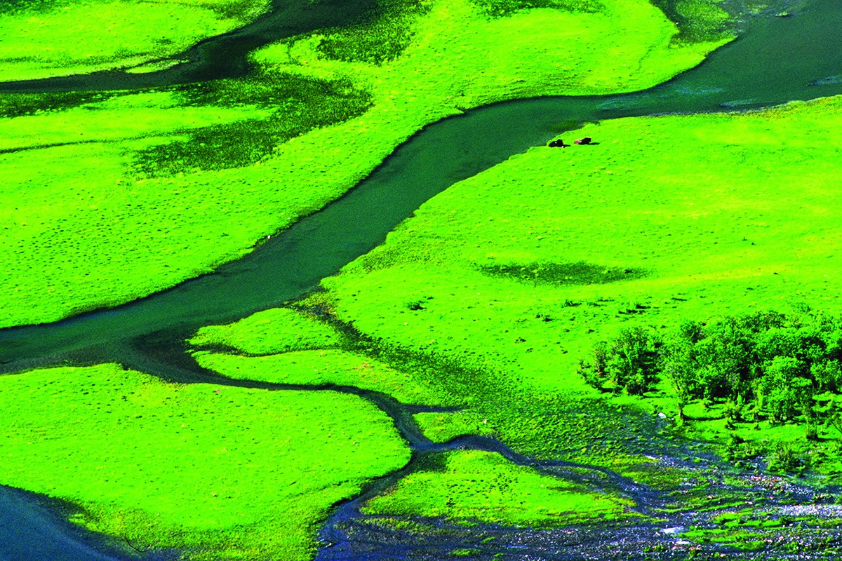 Summer of Haizigou | Foto da Huang Jizhou