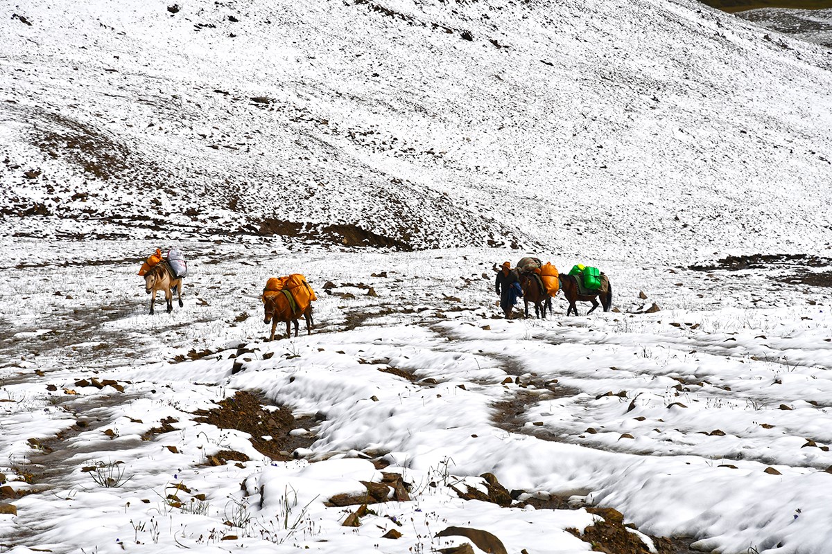 Trekking at Gongga Mountain | Foto da Liu Bin
