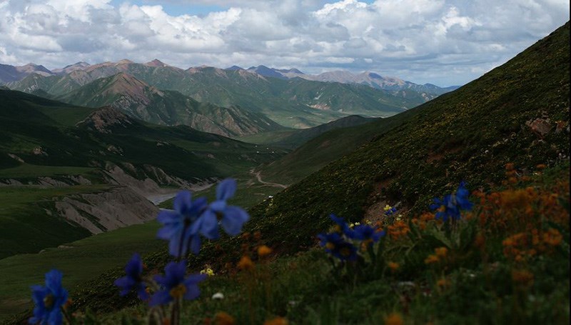 Trekking around Amnye Machen Mountain